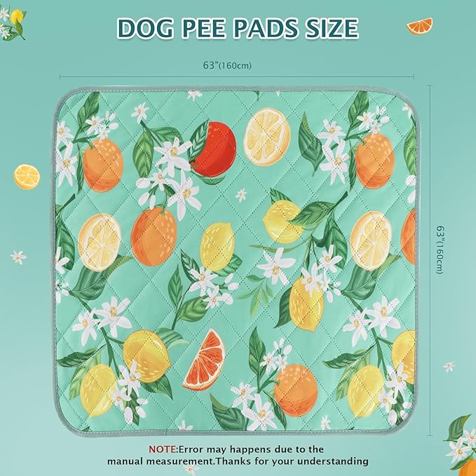 BVAGSS Washable Pee Pads for Dogs, 1 Pack Reusable Leakproof Puppy Wee Wee Pad, Non-Slip Waterproof Pet Training Pads, Super Absorbent Whelping Pads XH081 (Green Lemon, 63X63 Inch (Pack of 1))