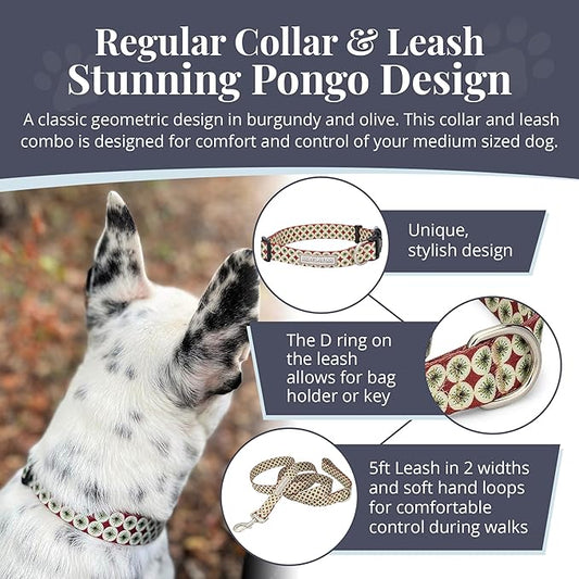 Lucky Love Dog - Easy Click Buckle Dog Collar with Leash Set Combo, Durable & Comfortable for Male & Female Dogs, Pet Collar for Small to Large Dogs, Secure Fit - Pongo Combo, XS