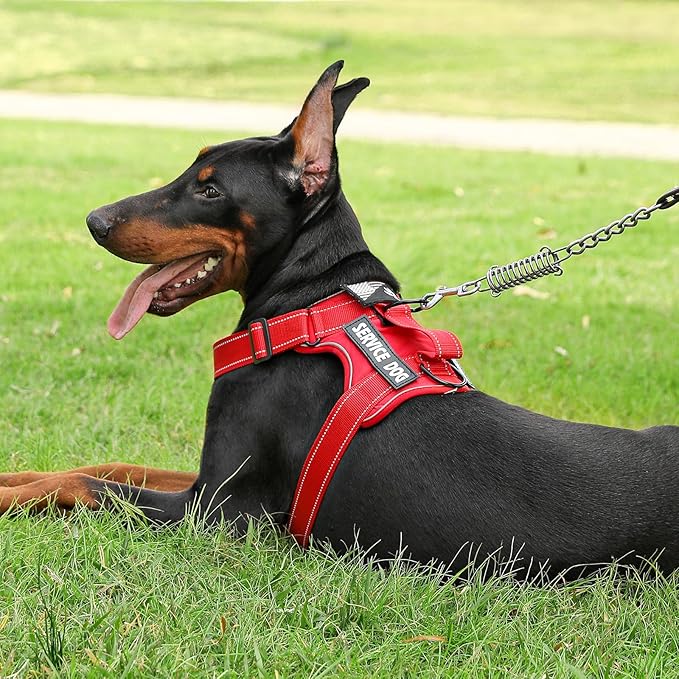 Demigreat Service Dog Harness, Reflective Dog Vest Harness with 5 PCS Patches, Adjustable Soft Oxford Pet Harness, Inner Layer Mesh, Easy to Control for Dogs (All-RED, Medium (Pack of 1))