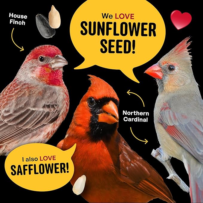 Cardinal & Crew Wild Bird Seed – 10 lb. Black Oil Sunflower, Sunflower Hearts & Safflower Blend for Cardinals, Grosbeaks & Chickadees – Bird Food for Outside Feeders