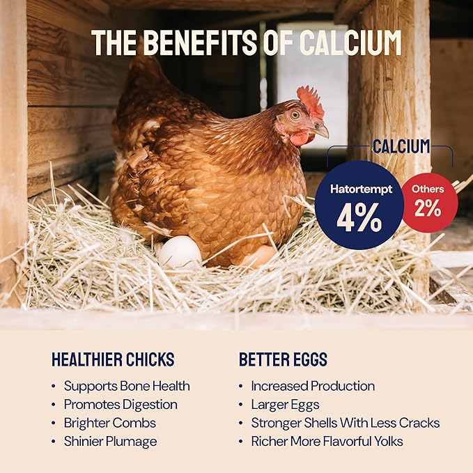 Black Soldier Fly Larvae for Chickens - 5 lb Pack of 1 - Protein Boost & High Protein Chicken Feed - 4% Calcium Treats & Reptile Calcium - Non-GMO Organic Grubs & Bird Feed