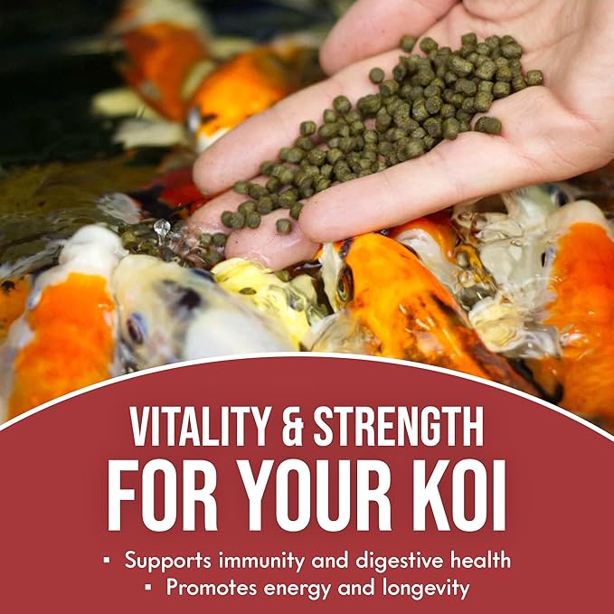 Color Extra Swim Koi Food (1 Pack 2.5lb)
