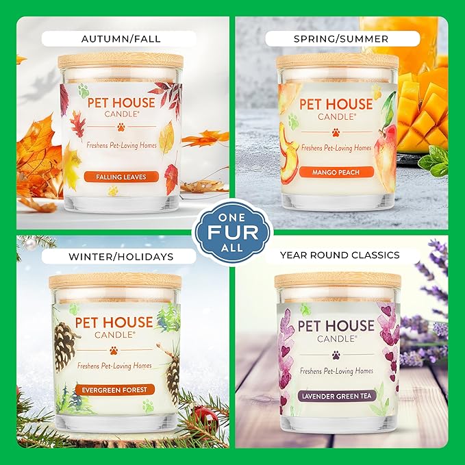 One Fur All Pet House Christmas Candles, Long Lasting, Clean Burning, Soy Wax Scented Pet Odor Candles, Gingerbread Cookies