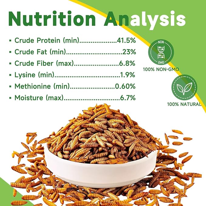 1LB Dried Black Soldier Fly Larvae Treat for Chicken, 100% Natural Non-GMO More Calcium Than Dried Mealworms High Protein Chicken Feed for Birds, Ducks, Layer Hens