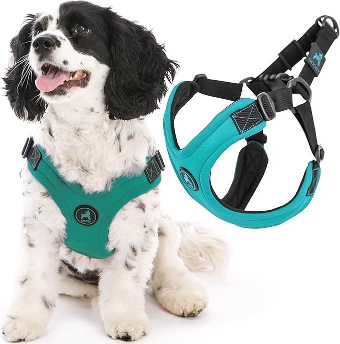 Gooby Escape Free Sport Harness - Turquoise, Large - No Choke Step-in Patented Neoprene Small Dog Harness, Four-Point Adjustment - Perfect on The Go Dog Harness for Medium Dogs No Pull and Small Dogs