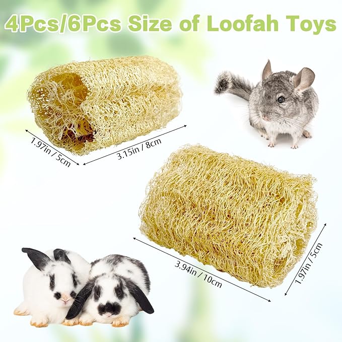 BNOSDM Bunny Chew Toys Natural Loofah 6PCS Bunny Teeth Grinding Toy Rabbit Fiber-Rich Treats Pet Entertainment Accessories for Rabbits Chinchillas Guinea Pig（M）
