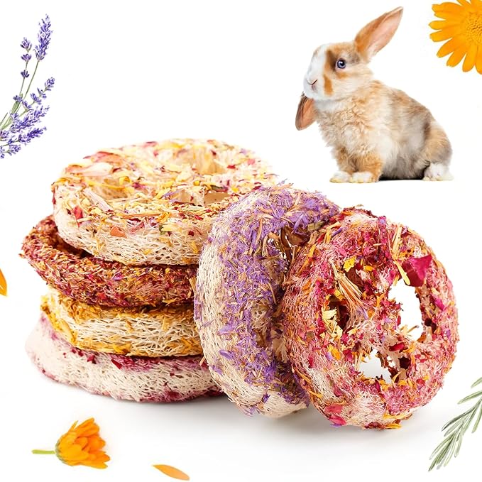 Natural Organic Loofah Chew Toys for Rabbits & Small Pets (6 Pcs) – Handmade Dental Care, Stress Relief, Safe Floral Scent
