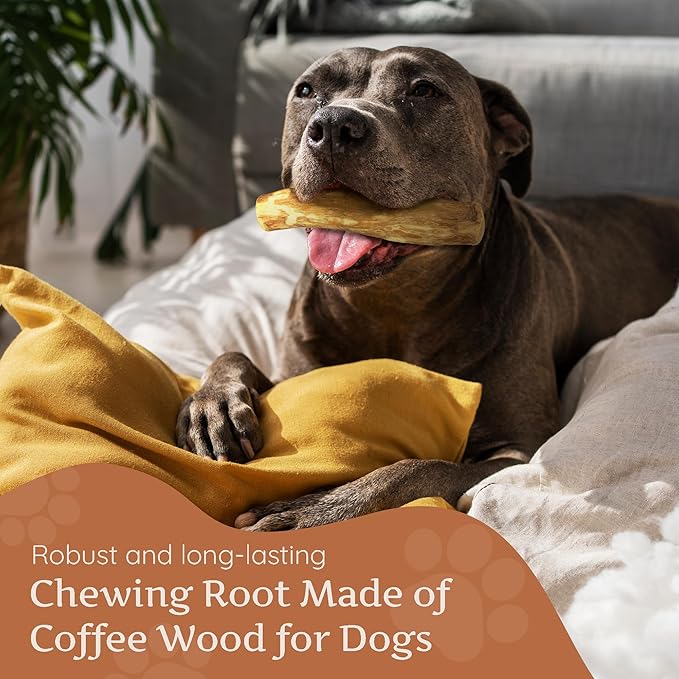 Wildfang® Coffee Wood Dog Chew, Large – Tough Chew Toys for Aggressive Chewers, Dog Teething Toys for Puppies, Training for Chewing Muscles, Coffee Tree Sticks for Large Dogs (55–99 lbs), Pack of 3