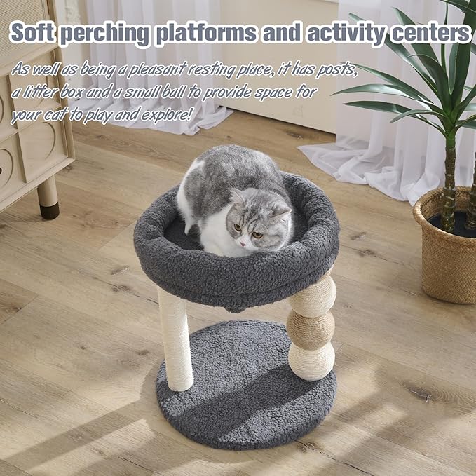 YOCAN Small Cat Tree Tower Indoor with Large Cozy Plush Top Perch, Natural Sisal Scratching Posts, Interactive Dangling Ball Great for Kittens and Cats (Gray)