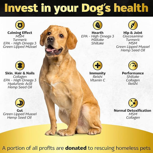 Soft Chews Hip and Joint Supplement for Dogs - Dog Joint Pain Relief Treats - Glucosamine, Chondroitin, Turmeric - Mobility Supplement (Bacon - 30 Soft Chews)