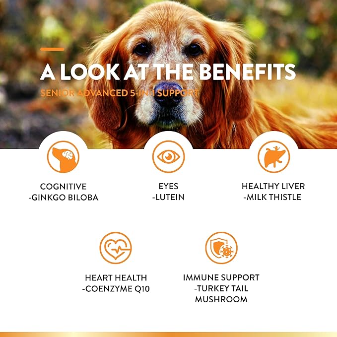 NaturVet Senior Advanced 5-in-1 Support Dog Supplement – Helps Support Immune System, Heart, Liver, Cognitive Function, Eye Health – Includes Ginkgo Biloba, Lutein – 60 Ct.
