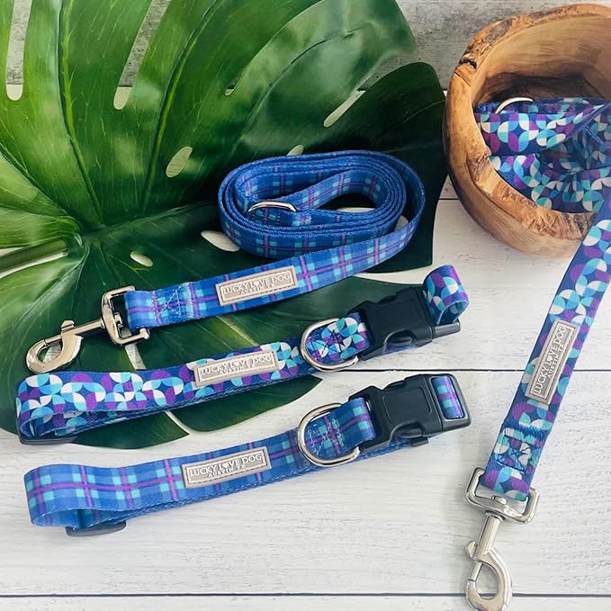 Lucky Love Dog - Adjustable Dog Collar and Leash Set with Easy Click Buckle for Small to Large Dogs, Durable, & Comfortable Collar for Male & Female Dogs, Puppies & Adult Ones - Jasper Combo, XL