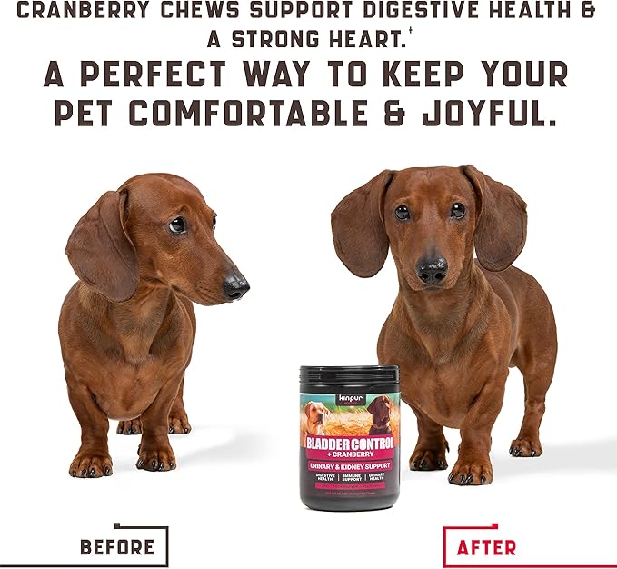 Dog UTI Treatment 180 Chews w Cranberry, Natural UTI Medicine for Dogs - Pet Supplement for Dog Urinary Tract Infection Treatment, Good for Bladder Control, Dog Incotinence, Kidney Health, Dog Breath