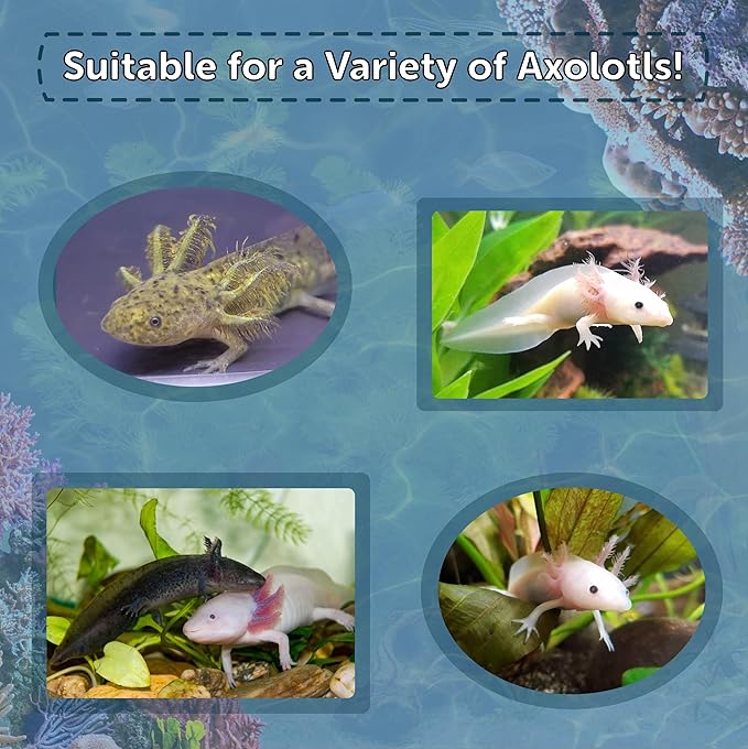 Aquatic Foods Inc. 1/16" Soft Moist Sinking Salmon Crumbles for Baby Axolotls, Shrimp, Snails, Crabs, Small Amphibians, Bottom Tropical Fish ...2-lb Med Jar