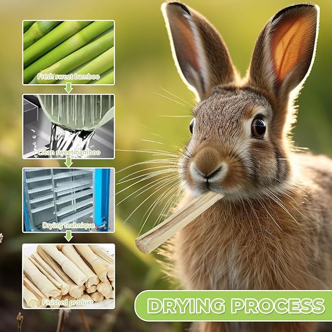William Craft 1.1 pounds Snacks Sweet Bamboo Chew Toy for Rabbits Chew Sticks for Hamster Chinchilla Guinea Pig,Molar Treats Snack for Small Animals 500g