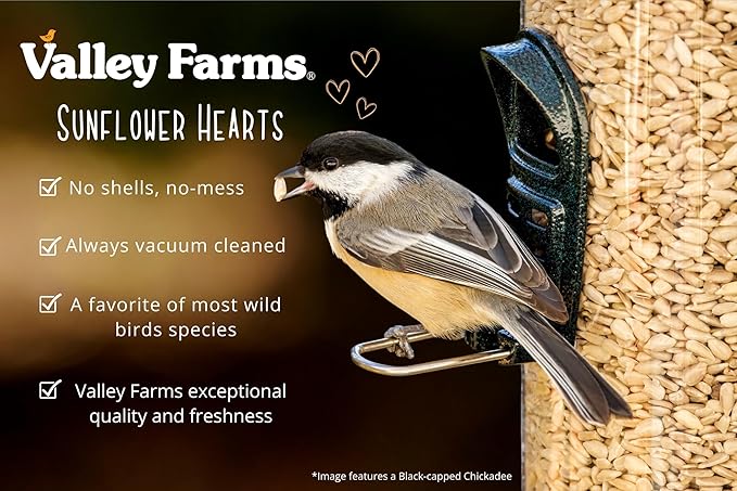 Valley Farms Whole Sunflower Hearts for Birds 4 LB 2-Pack (8 LB Total), Sunflower Kernels Wild Bird Food, No Mess Wild Bird Seed for Outside Feeders, Sunflower Hearts Birdseed