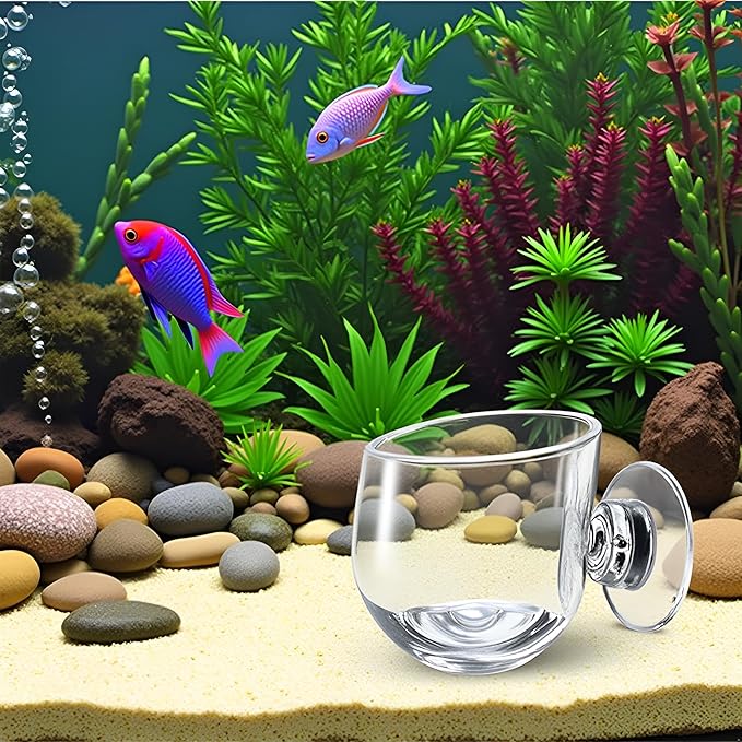 1Pc Oval Aquarium Plant Holder Cup - Crystal Glass Aquatic Plant Pot, Aquarium Aquatic Planter | Red Shrimp Live Plants Fish Tank Glass Holder