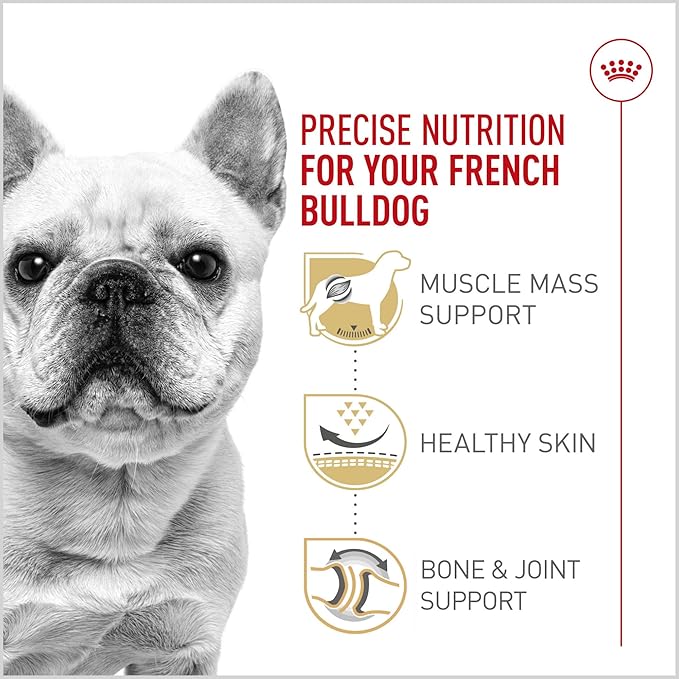 Royal Canin French Bulldog Adult Dry Dog Food, 6 lb bag