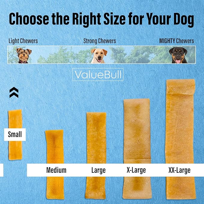 ValueBull Himalayan Yak Cheese Dog Chews, Small, 50 ct Bulk Pack - Long Lasting for Aggressive Chewers, All Natural, Healthy & Safe, Low Odor Nepal Yak Milk Chews