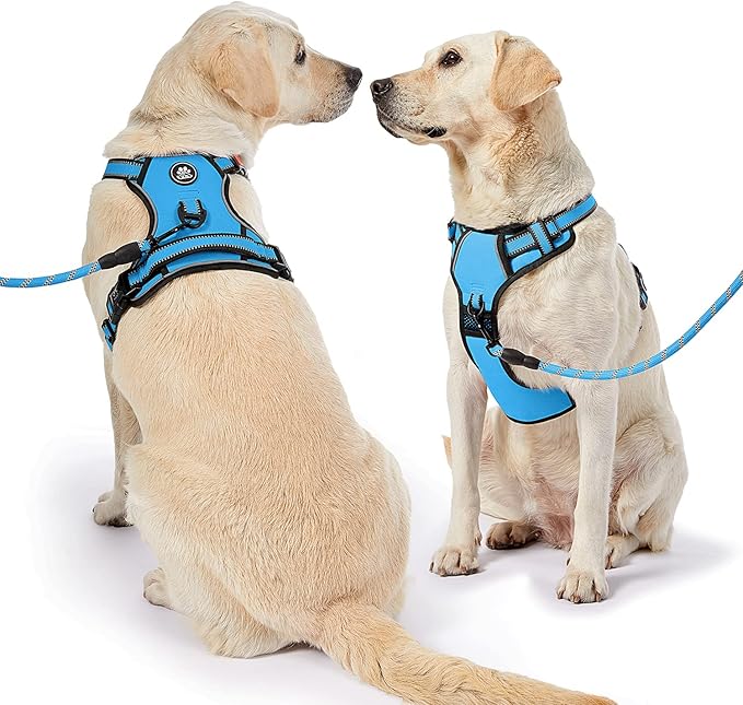 NESTROAD No Pull Dog Vest Harness with Leash, Adjustable Reflective Oxford Pet Harness with Easy Control Handle for Small Dogs, Blue