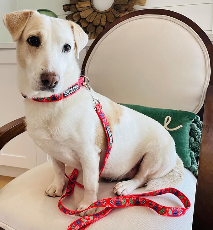 Lucky Love Dog - Adjustable Dog Collar with Easy Click Buckle for Small to Large Ones, Durable, & Comfortable for Male & Female Dogs, Pet Collar for Puppies & Adult Dogs - Chilly, Small