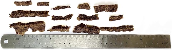Boulder Dog Food Company All Natural Bits Dog Treats (3 Packs) - Dog Treats Made in USA Only (Bison, 8 oz)