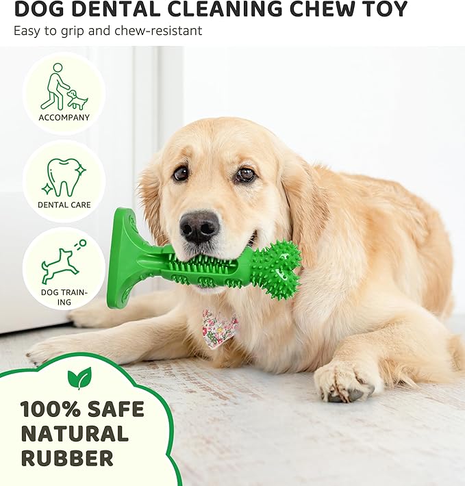 Dog Chew Toy for Teeth Cleaning, Natural Rubber Toothbrush Stick with 360° Bristles, Durable Dog Toys for Aggressive Chewers, Interactive Dental Toy for Medium and Large Dogs (Green)