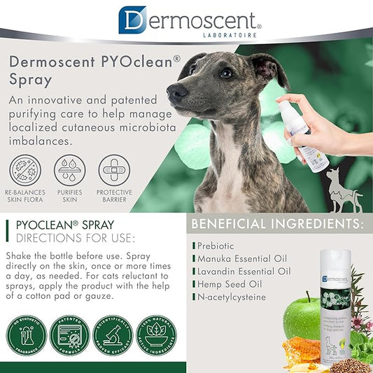 Dermoscent PYOclean® Spray for Dogs & Cats Balances the Skin, Prevents Pimples, Chin Acne, Reddened Skin & Scabs, 50 ml (1.66 fl. oz.)