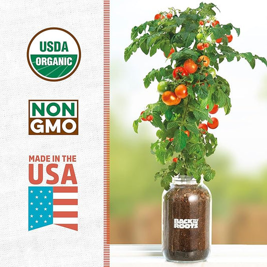 Back to the Roots Cherry Tomato Organic Windowsill Planter Kit - Grows Year Round, Includes Everything Needed For Planting