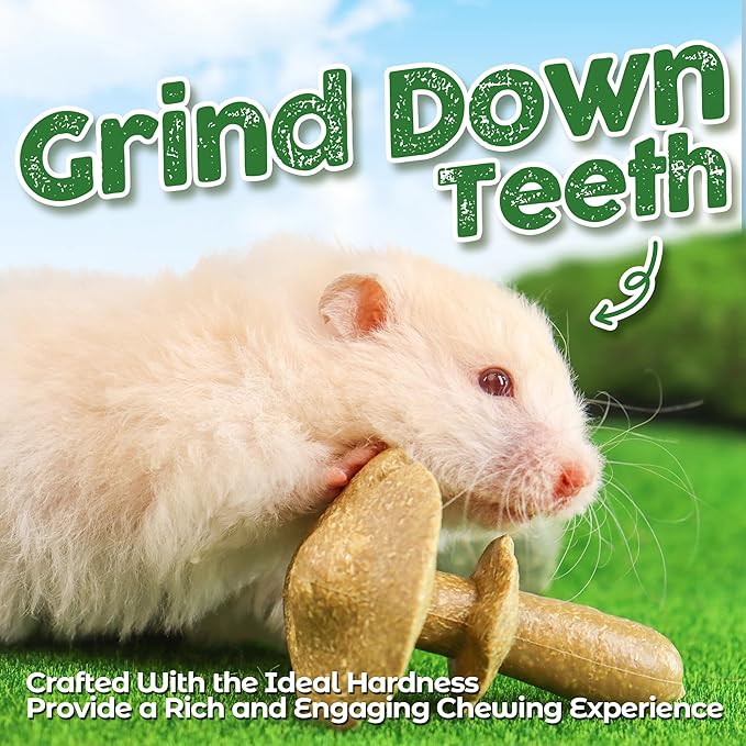 TEEWY 4PCS Guinea Pig Chew Toys, Prevent Teeth Overgrowth, Natural Timothy Grass & Vegetables, Hamster Chew Toys, Guinea Pig Toys, Chinchilla Toys, Grass Patch & Mushrooms