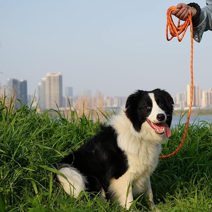 NTR Heavy Duty Dog Leash, 15FT Training with Swivel Lockable Hook, Padded Handle and Highly Reflective Threads, Lead for Walking, Hunting, Camping, Backyard Small Medium Large, Orange