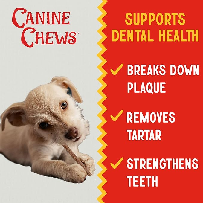 Canine Chews 5" Munchy Rawhide Sticks for Small Dogs Munchy Dog Treat Sticks 100 Pack (Beef)