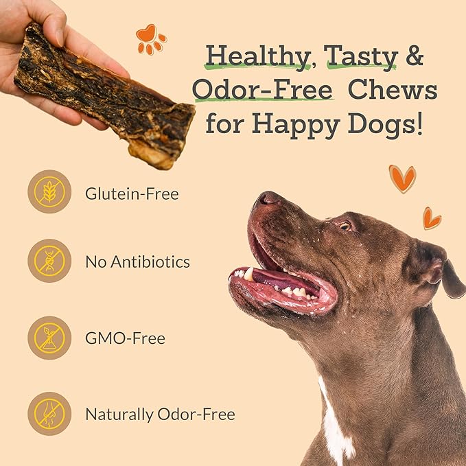 Gullet Flat Jerky (12" Long, 15 Count/Pack) Buffalo Dog Treats for Large, Medium & Small Breed, Healthy Training Treats for Dogs, Gluten Free & Odor Free, Easily Digestible - 1lb