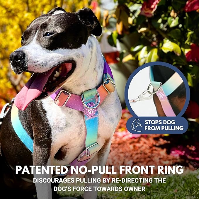 Spark Paws No Pull Dog Harness for Large Dogs, Heavy Duty Dog Harness for Big Strong Breeds, Adjustable, Y Shaped Padded Halter Design with Front Clip - Pastel Icing - M