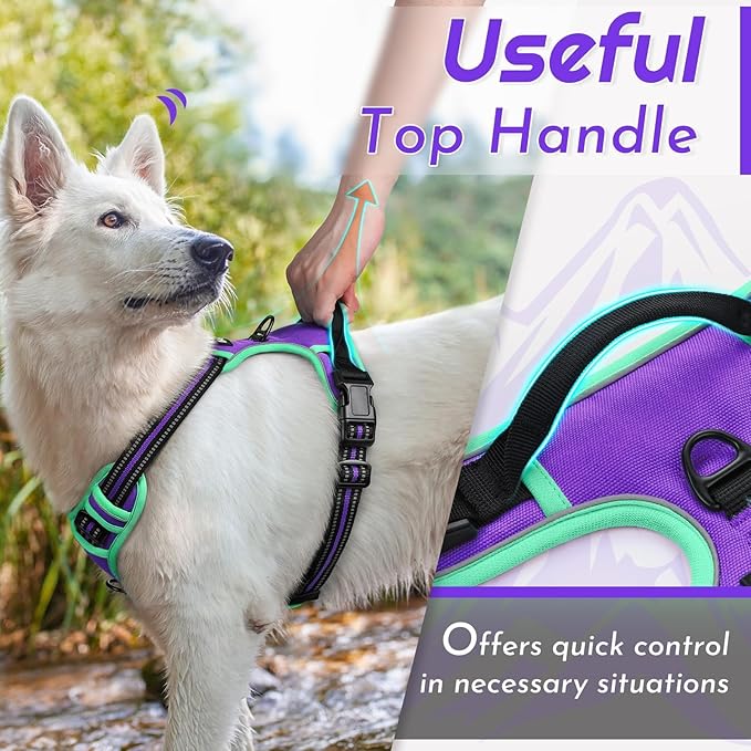 Eagloo Dog Harness Small Sized Dog, No Pull Service Vest with Reflective Strips and Control Handle, Adjustable and Comfortable for Walking, No Choke Pet Harness with 2 Metal Rings, Purple & Green, S