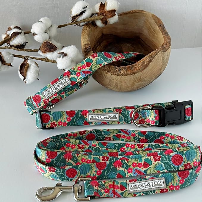 Lucky Love Dog - Adjustable Dog Collar with Easy Click Buckle for Small to Large Ones, Durable, & Comfortable for Male & Female Dogs, Pet Collar for Puppies & Adult Dogs - Ginny, Large