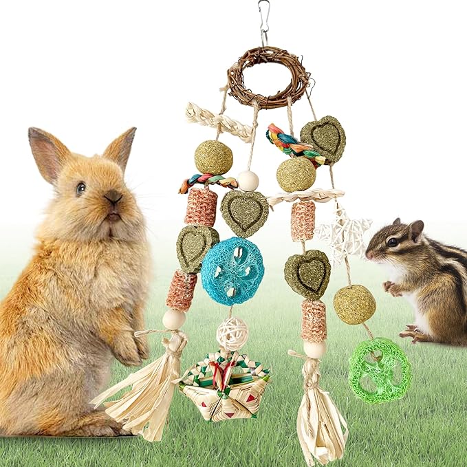 Bunny Chew Toy, Rabbits Cage Hanging Chew Toys and Treats Rattan Ring with Snacks Water Grass Wooden Block Carrot for Guinea Pigs Chinchillas Hamsters Rats and Other Small Pets Teeth Grinding