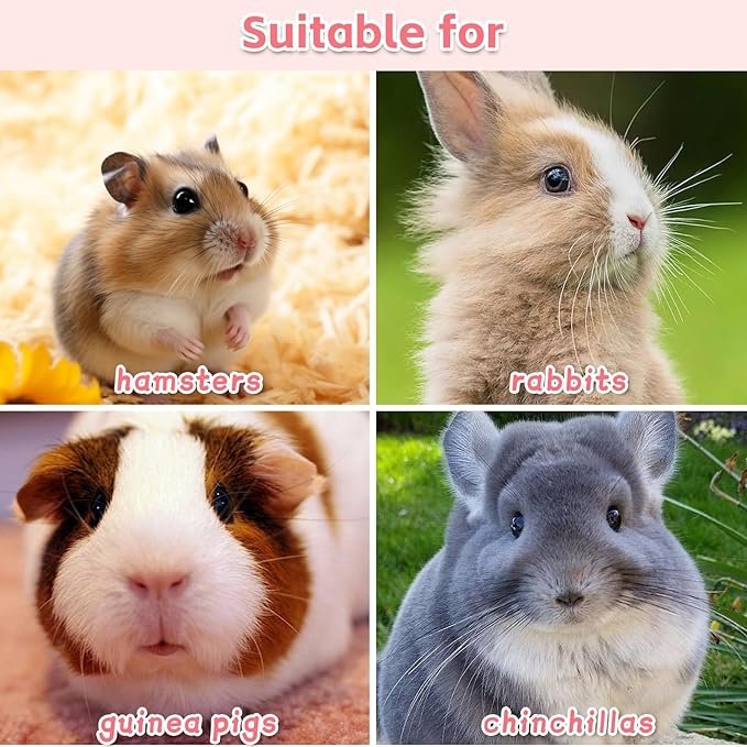 PINVNBY 15 PCS Hamster Lava Blocks, Lava Bites Chew Toys, Mineral Calcium Stone Teeth Grinding Toys for Small Animal Rabbits Guinea Pig Rats Bunny Hamsters Chinchilla