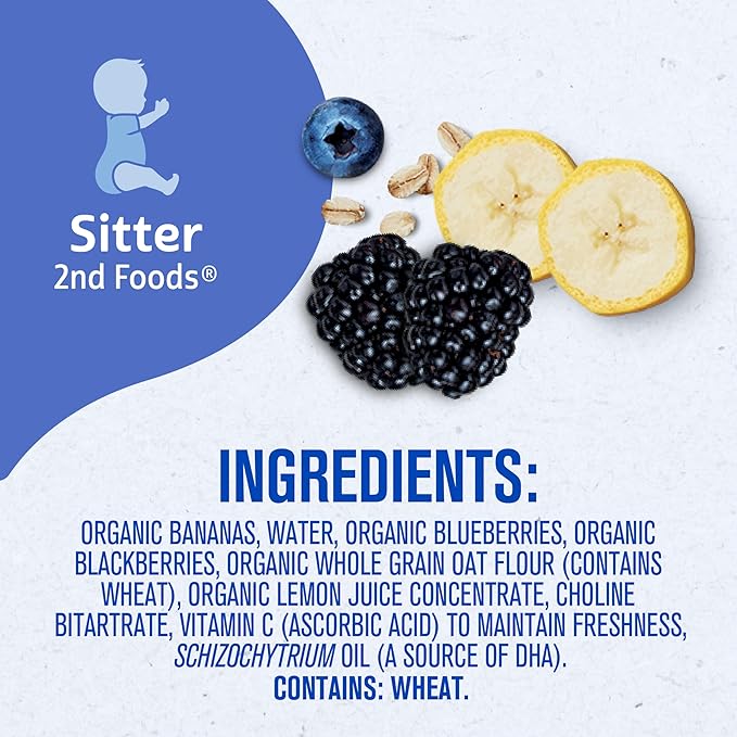 Gerber Stage 2 Baby Food, Organic Banana Blueberry Blackberry Oatmeal, Baby Puree, 12PK