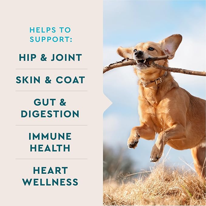 VetIQ 8-in-One Multifunctional Supplement for Dogs, Supports Hip & Joint, Urinary Tract, Immune System, Skin Health and Heart Health, Soft Chews, Made in The USA, 60 Count (Pack of 2)