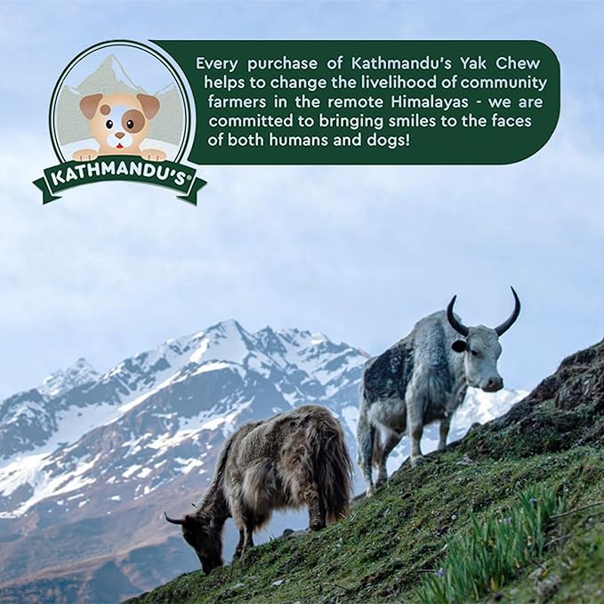 KATHMANDU'S Authentic Yak Cheese Himalayan Dog Chews - All Natural and Protein-Rich Nutrition Dog Treats, Long Lasting Chews for Aggressive Chewers, Odor Free Yak Chew | Small/Medium (Pack of 2)