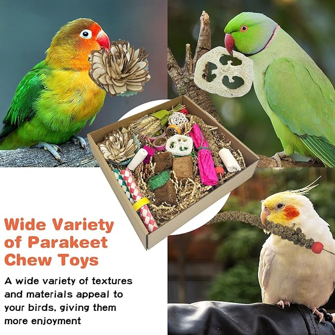 PINVNBY Natural Bird Toys Bird Foraging Box Interactive Parrot Shredding and Chewing Toy for Conure Parakeet Budgie Cockatiel Lovebird Small-Medium Birds (Large)