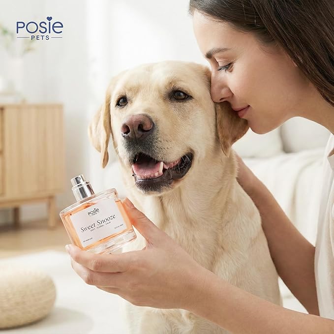 Dog Cologne Spray with Long Lasting Jasmine, Musk, and Vanilla Scent - Vegan Alcohol-Free Pet Deodorizer for Smelly Dogs - Water-Based Luxury Puppy Grooming Fragrance - Sweet Snooze, 100ml