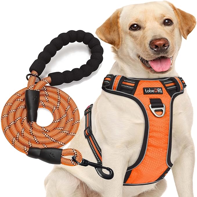 No Pull Harness with A Free Heavy Duty 5ft Leash for Medium Large Dog Adjustable Reflective Oxford Easy Control (L (Neck: 18"-25.5", Chest: 25.5"-31"), Orange Harness+Leash)