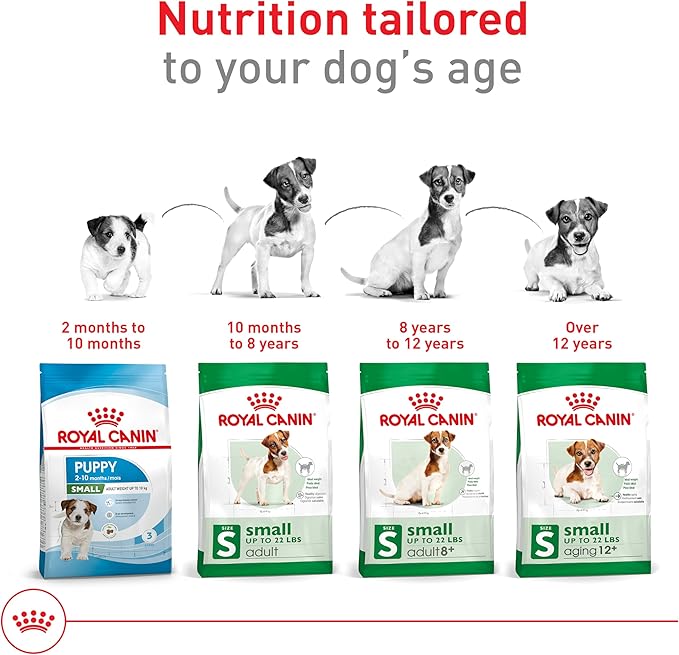 Royal Canin Size Health Nutrition Small 8+ Senior Dry Dog Food, 13 lb Bag
