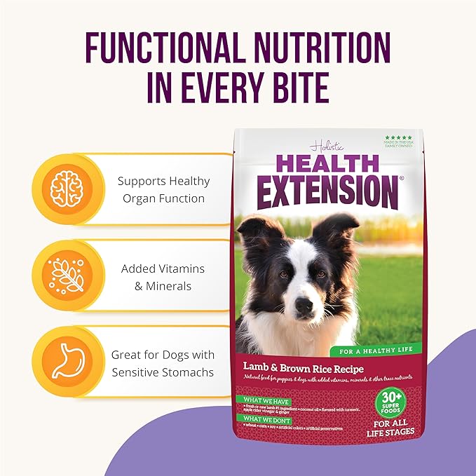 Health Extension Lamb & Brown Rice Dry Dog Food (1 lb / 0.45 kg) - Nutritious Free-Range Lamb Formula with Probiotics, Antioxidants & Omega 3 for Dogs with Sensitive Digestion