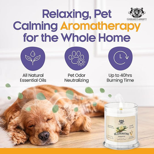 Pet Odor Eliminator Candle Rejuvenating Eucalyptus Scented Candle, Calming Candles Aromatherapy for Home Decor, Soy Wax Pet Candles Odor Eliminator for Animal Lover, Aromatherapy by Gerrard Larriett