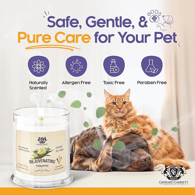 Pet Odor Eliminator Candle Rejuvenating Eucalyptus Scented Candle, Calming Candles Aromatherapy for Home Decor, Soy Wax Pet Candles Odor Eliminator for Animal Lover, Aromatherapy by Gerrard Larriett