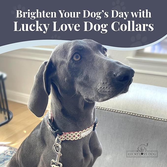 Lucky Love Dog - Easy Click Buckle Dog Collar with Leash Set Combo, Durable & Comfortable for Male & Female Dogs, Pet Collar for Small to Large Dogs, Secure Fit - Pongo Combo, Small