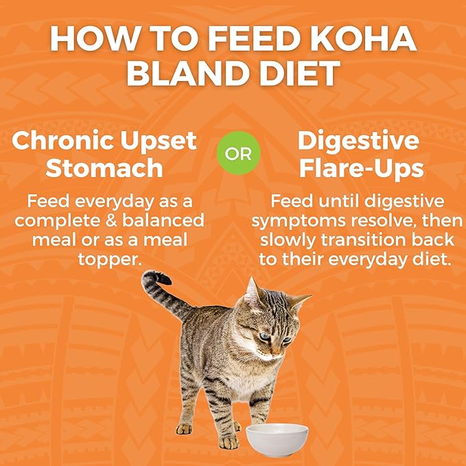 KOHA Pet Limited Ingredient Bland Diet for Cats, Chicken and White Rice Recipe Sensitive Stomach Wet Cat Food, Gentle Formula Easy to Digest Bland Diet Cat Food, 6 oz Pack of 12